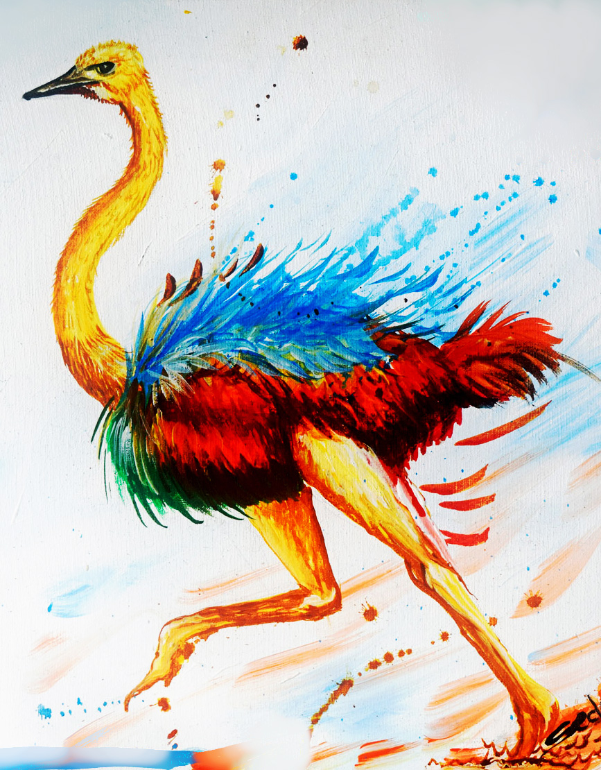 Colorful ostrich on sale